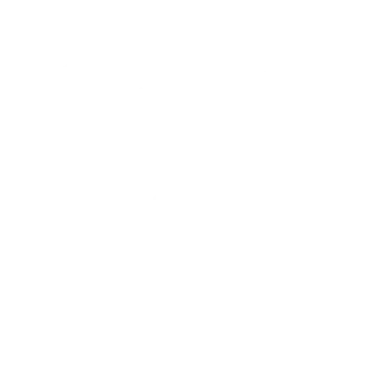 Luís Augusto - Professional Growth